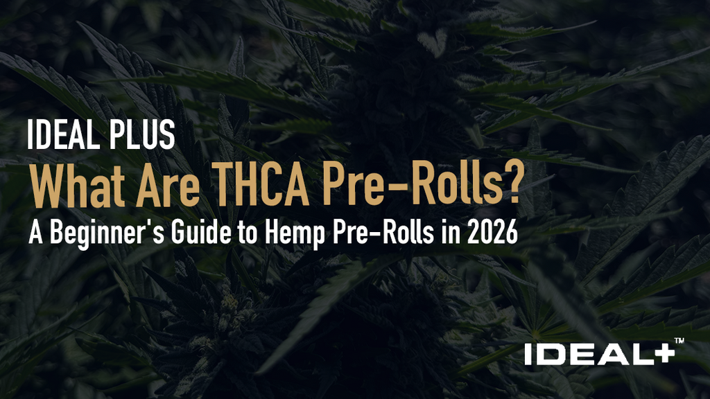 Learn what THCA pre-rolls are, how they work, what effects to expect, and how to find quality products in 2026. Your complete beginner's guide to THCA prerolls.
