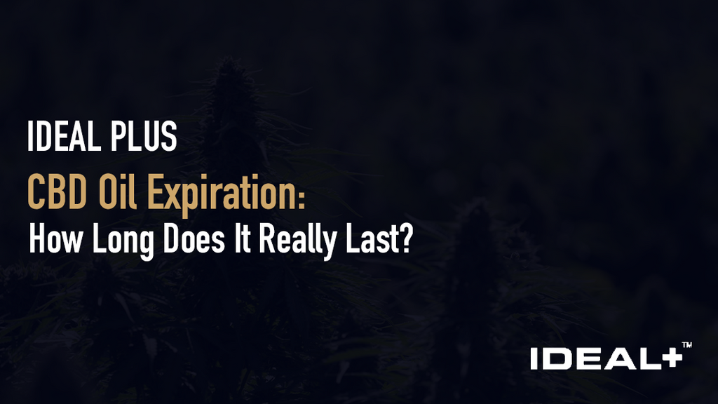 CBD Oil Expiration: How Long Does It Really Last?