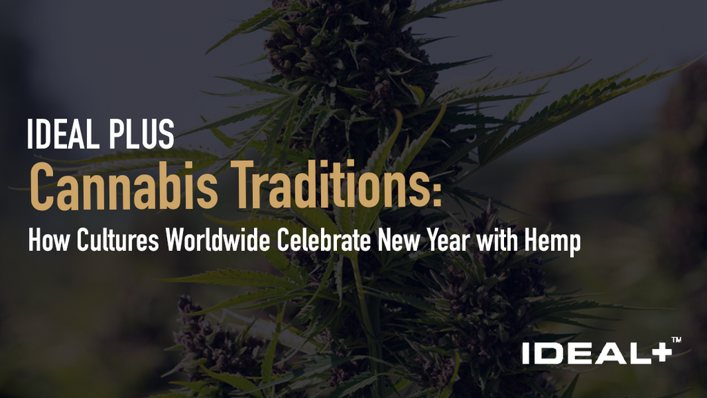 Cannabis Traditions