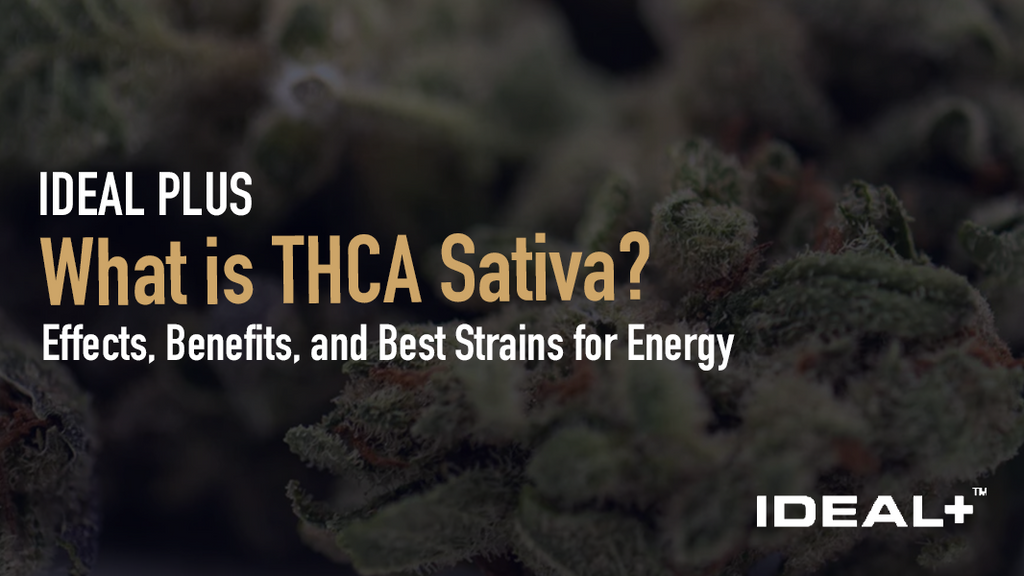 What is THCA Sativa?