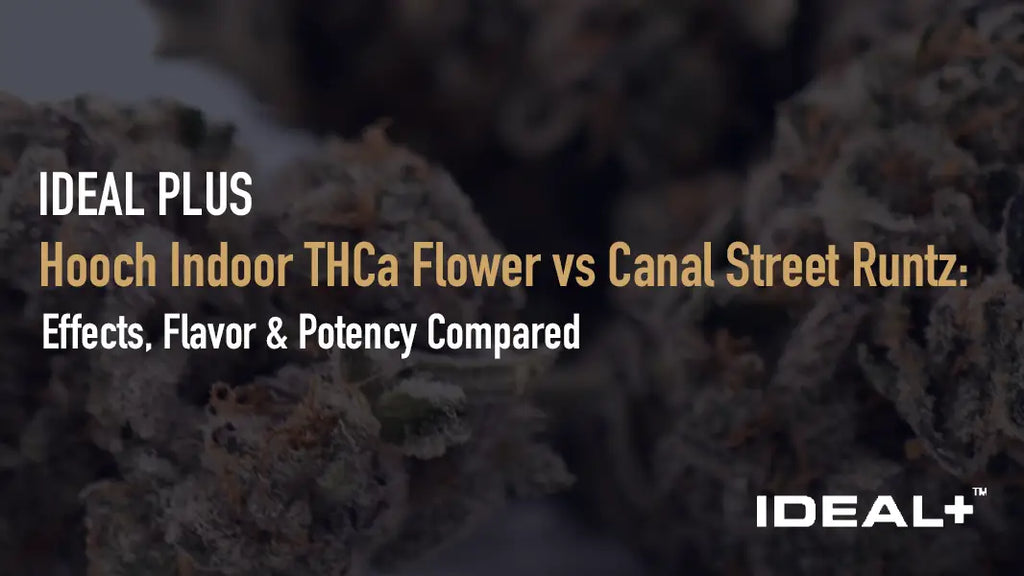 Hooch Indoor THCa Flower vs Canal Street Runtz