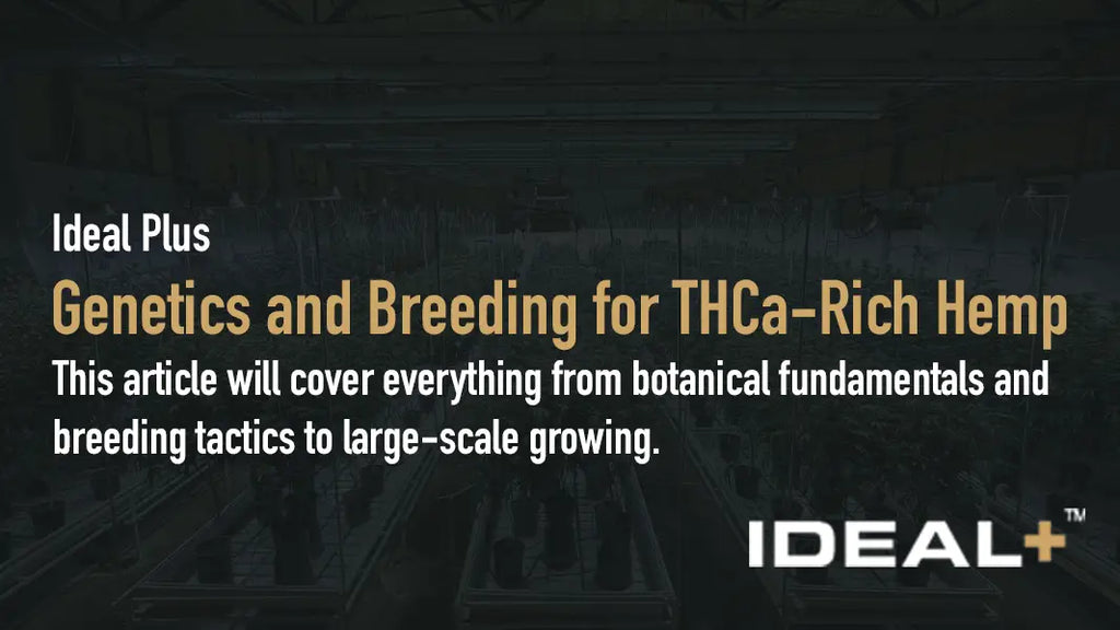 This article will cover everything from botanical fundamentals and  breeding tactics to large-scale growing.