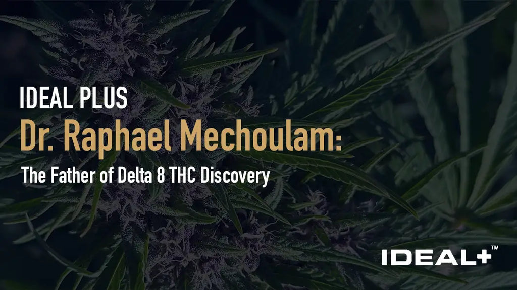 Dr. Raphael Mechoulam