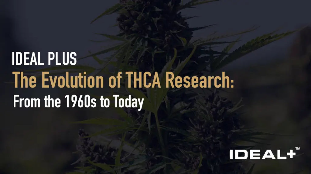 The Evolution of THCA Research