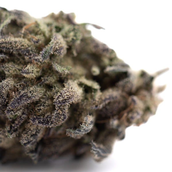 Blue Sugar THCa Hemp Flower Greenhouse Wholesale