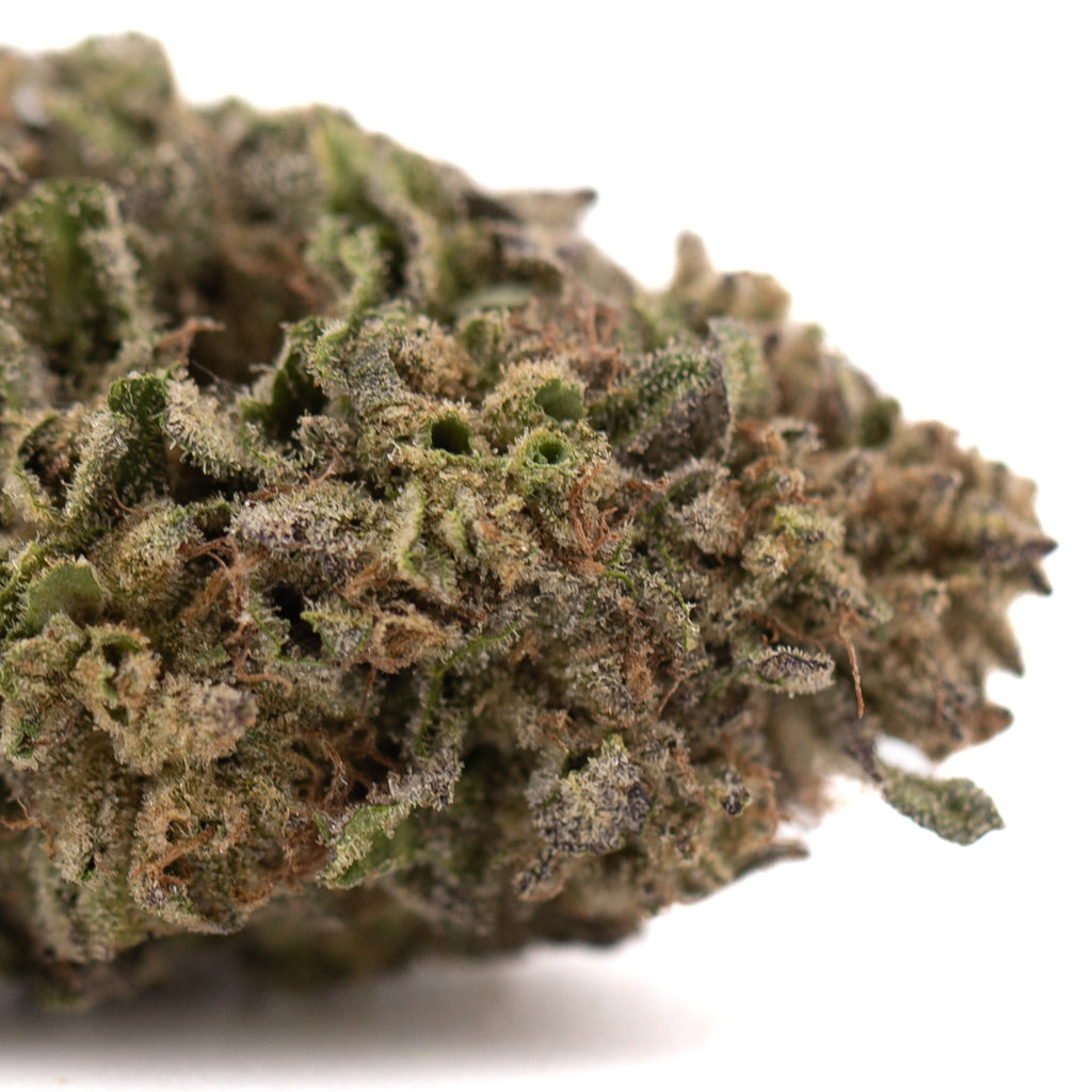 Bolor Tartz THCa Hemp Flower Greenhouse