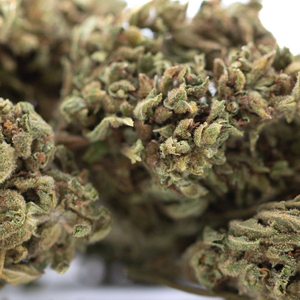 Bubba Kush CBD Hemp Flower Full-Term #2 Wholesale