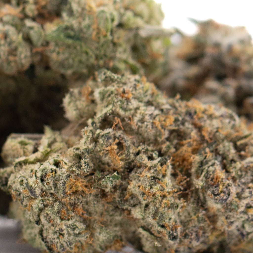 Chicken & Waffles Indoor THCa Flower Wholesale