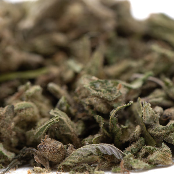 Froot by the Foot Full-Term THCa Trim Wholesale