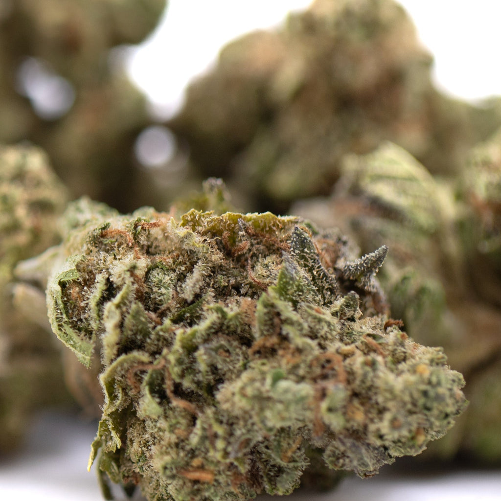 Gelato THCa Greenhouse Smalls