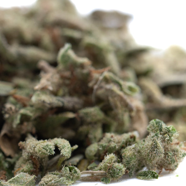 Mega Gummie Bearz Full-Term THCa Trim Wholesale