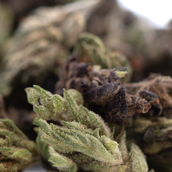 RNA CBD Hemp Flower Full-Term Smalls