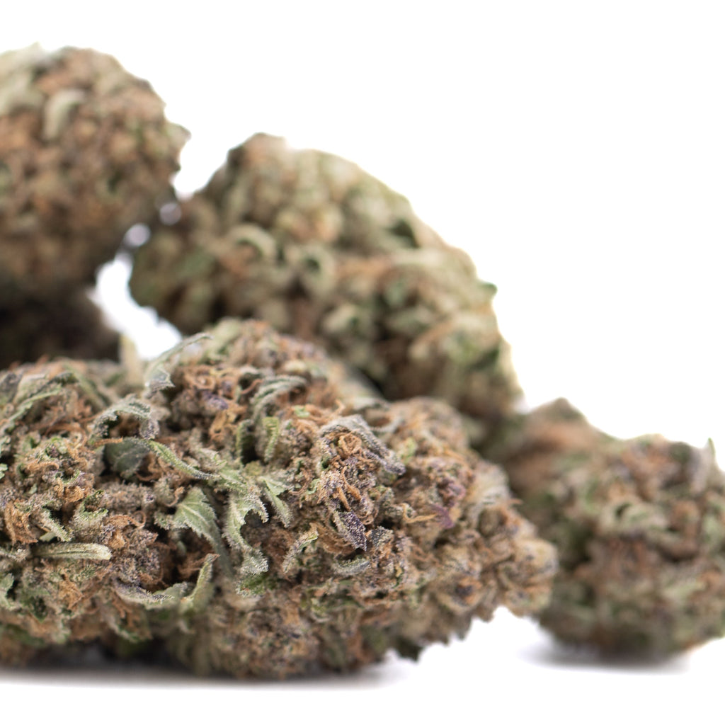 Tropical Punch THCa Hemp Flower Greenhouse Wholesale