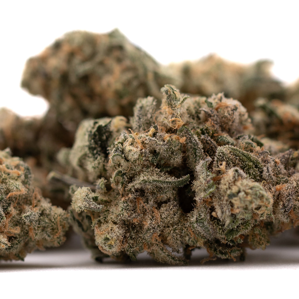 Dense Blue Dream THCa Flower buds showcasing premium hemp flower quality