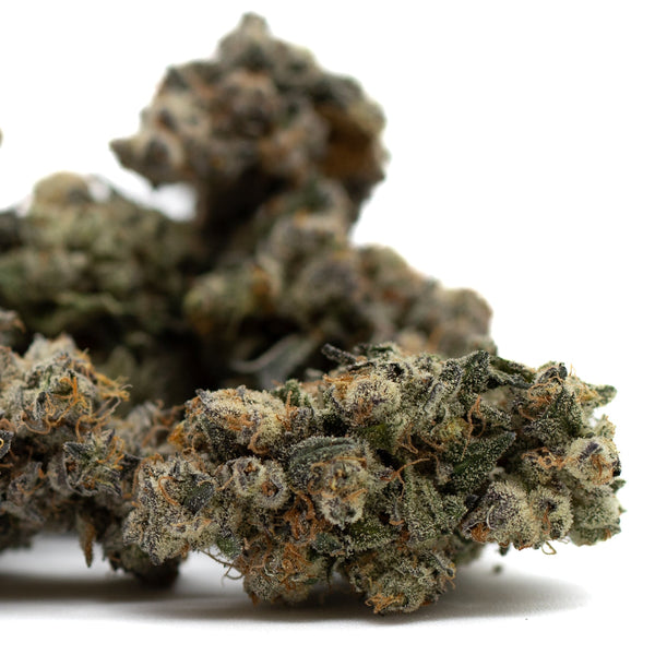 Butter OG Indoor THCa Flower - Plants