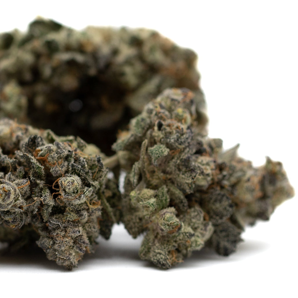 Butter OG Indoor THCa Flower - Plants