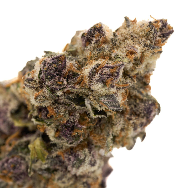 Purple and green cannabis bud of Ceral Milk Indoor THCa Flower 5 gram product