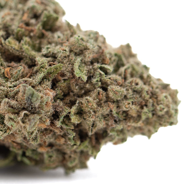 Green Durban Poison THCa flower bud with orange white trichomes