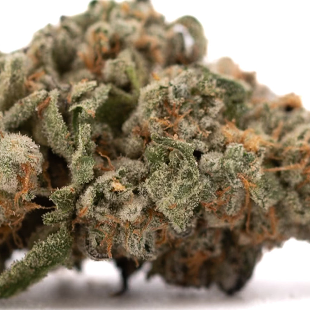 Close-up of Event Horizon Indoor THCa Flower hemp flower with trichomes and orange hairs