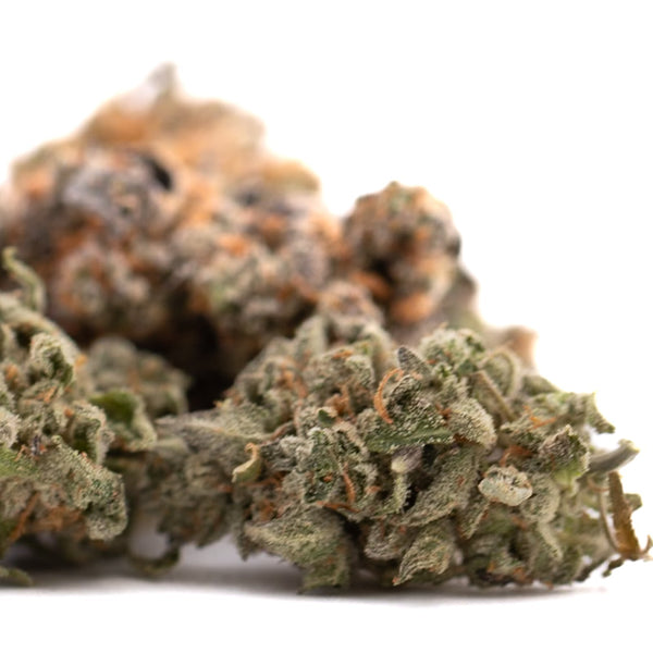 Event Horizon Indoor THCa Flower hemp flower with orange hairs and frosty trichomes