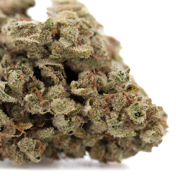 Premium Face Fat THCa hemp flower bud with white trichomes