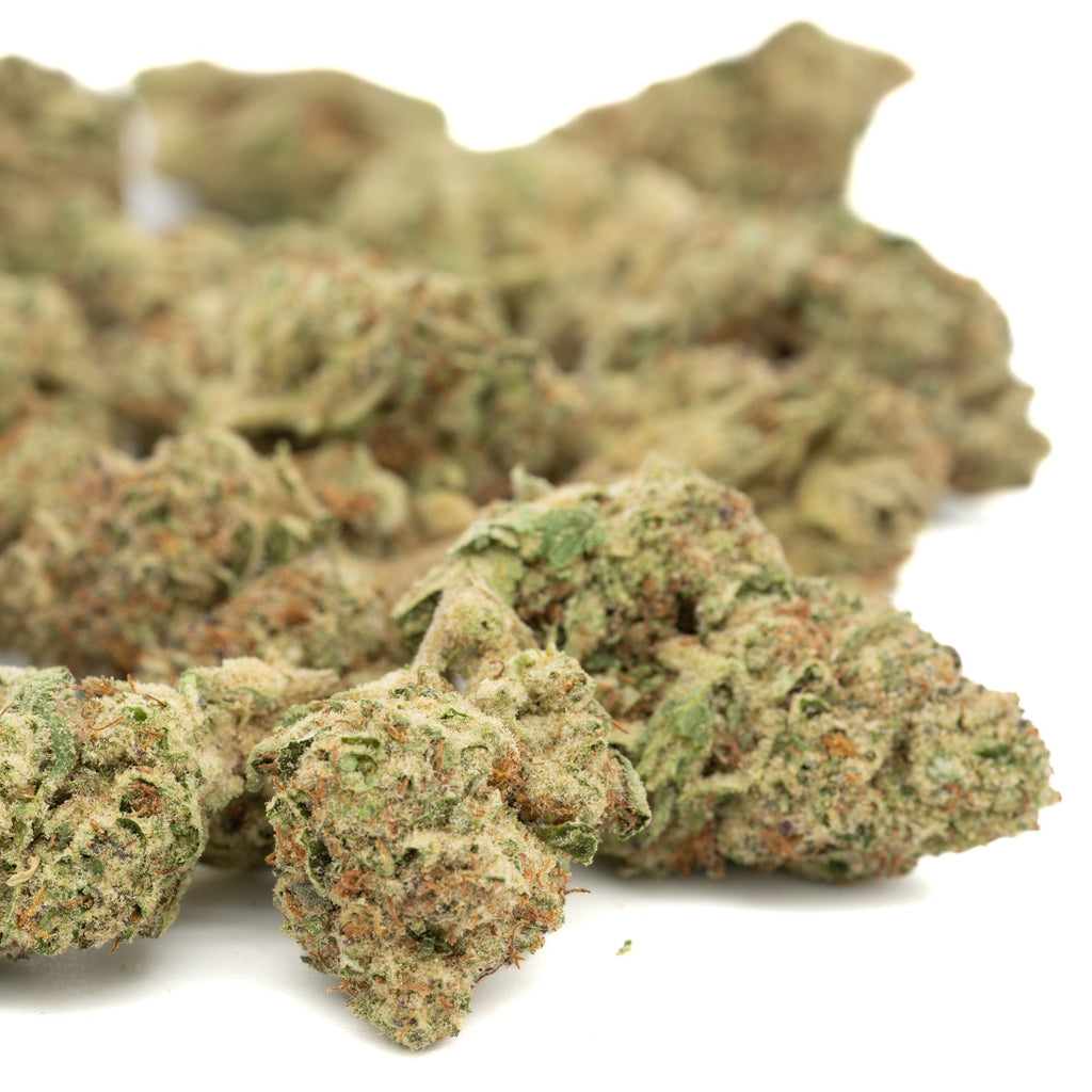 GMO THCa Hemp Flower Greenhouse - Plants