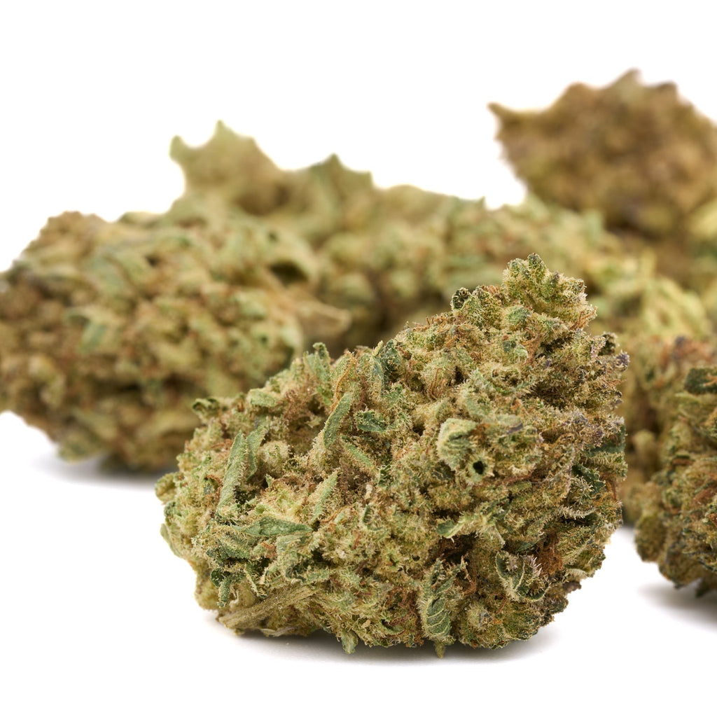 God’s Gift THCa Flower Full-Term - Plants