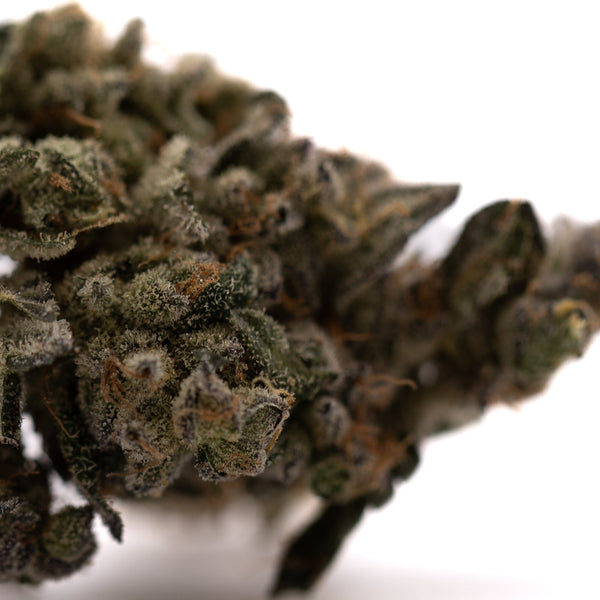 Dense cannabis bud from Green Crack Indoor THCa Flower showcasing premium indoor THCa flower quality