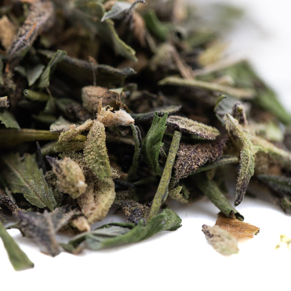 Halle Berry Greenhouse THCa trim green dried herb blend for tea