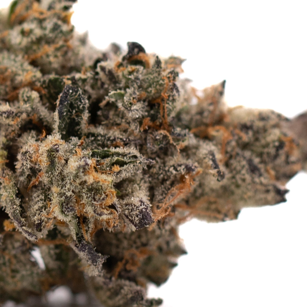 Close-up of Hooch Indoor THCa Flower with trichomes and orange pistils, premium hemp flower