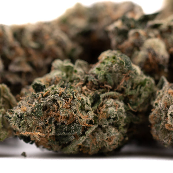 Dense cannabis buds from Humboldt Indoor THCa Flower, premium indoor THCa hemp flower