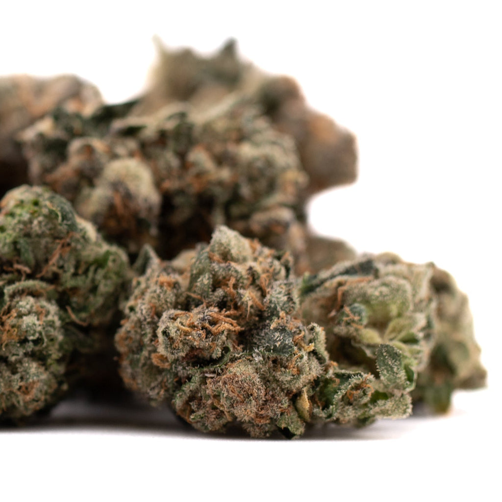 Humboldt Indoor THCa Flower showcasing vibrant hemp flower buds with rich trichomes