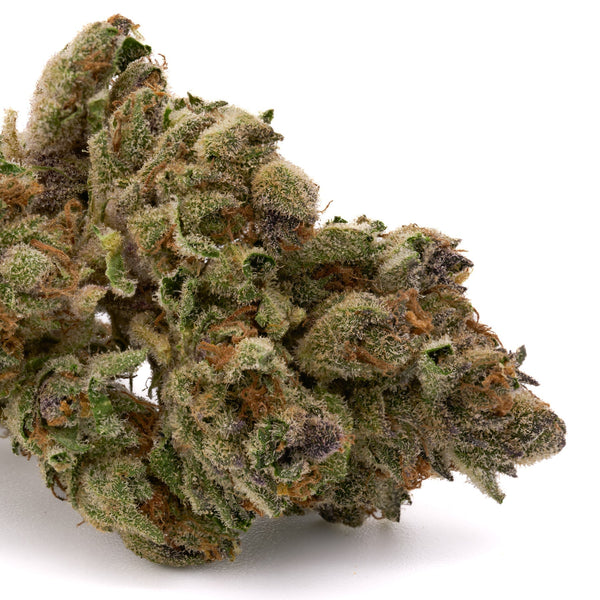 Dantes Inferno THCa Hemp Flower Greenhouse - Plants