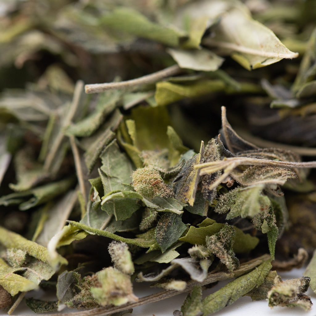 Organic Joker OG Greenhouse THCa trim herbal tea with green leaves, dried buds, sour diesel energizing effects