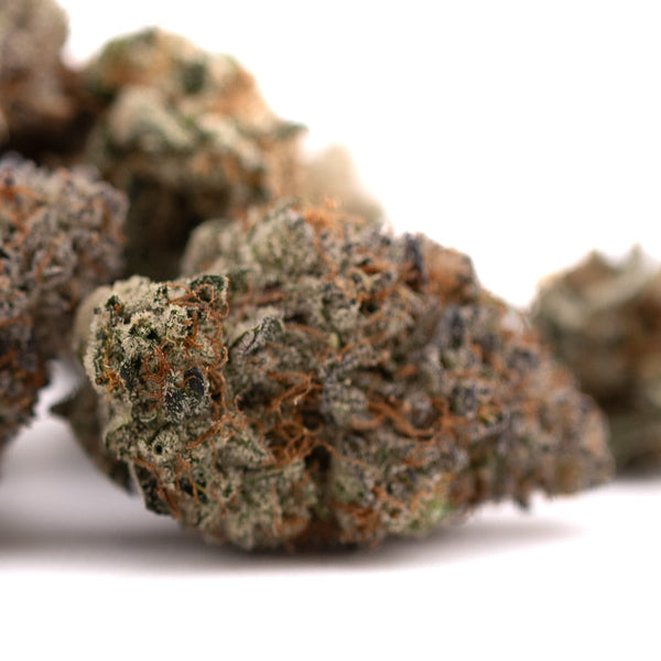 Dried cannabis buds from Jokerz Candy Indoor THCa Flower hemp flower product