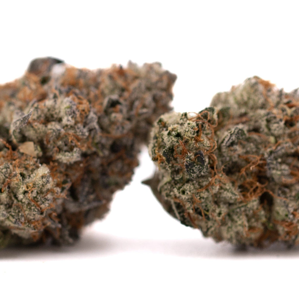 Jokerz Candy THCa Flower showcasing two vibrant cannabis buds, premium hemp flower suitable for enthusiasts