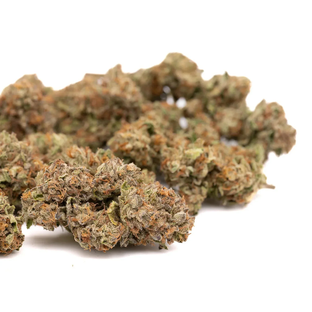 Pile of Lemon Cherry Gelato cannabis buds from Lemon Cherry Gelato Indoor THCa Flower Wholesale