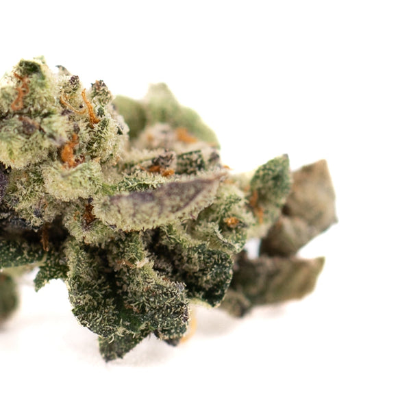 Dense Lemon OG Indoor THCa Flower Smalls with glistening trichomes and rich aroma