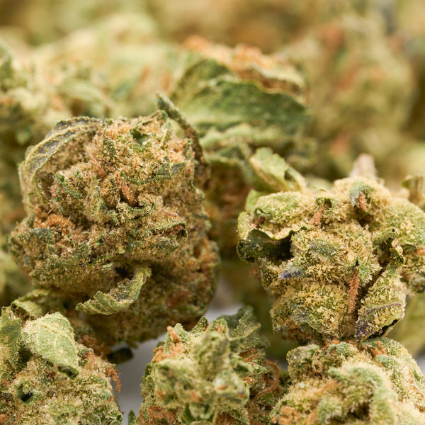 Dried MAC #1 THCa Hemp Flower Wholesale Smalls with trichomes and orange hairs