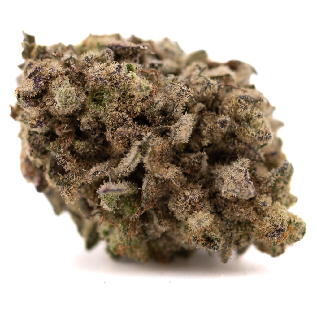 Premium Money Ball THCa hemp flower: green purple bud with dense trichomes