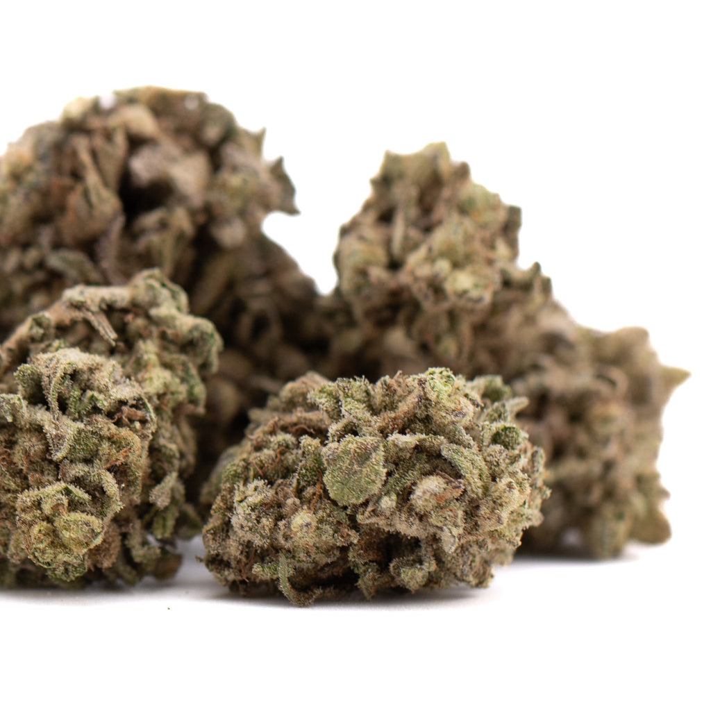 Money Ball THCa hemp flower buds with green and brown hues