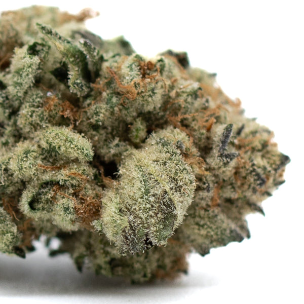 Dense Moroccan Peaches Indoor THCa Flower showcasing rich trichomes and vibrant buds