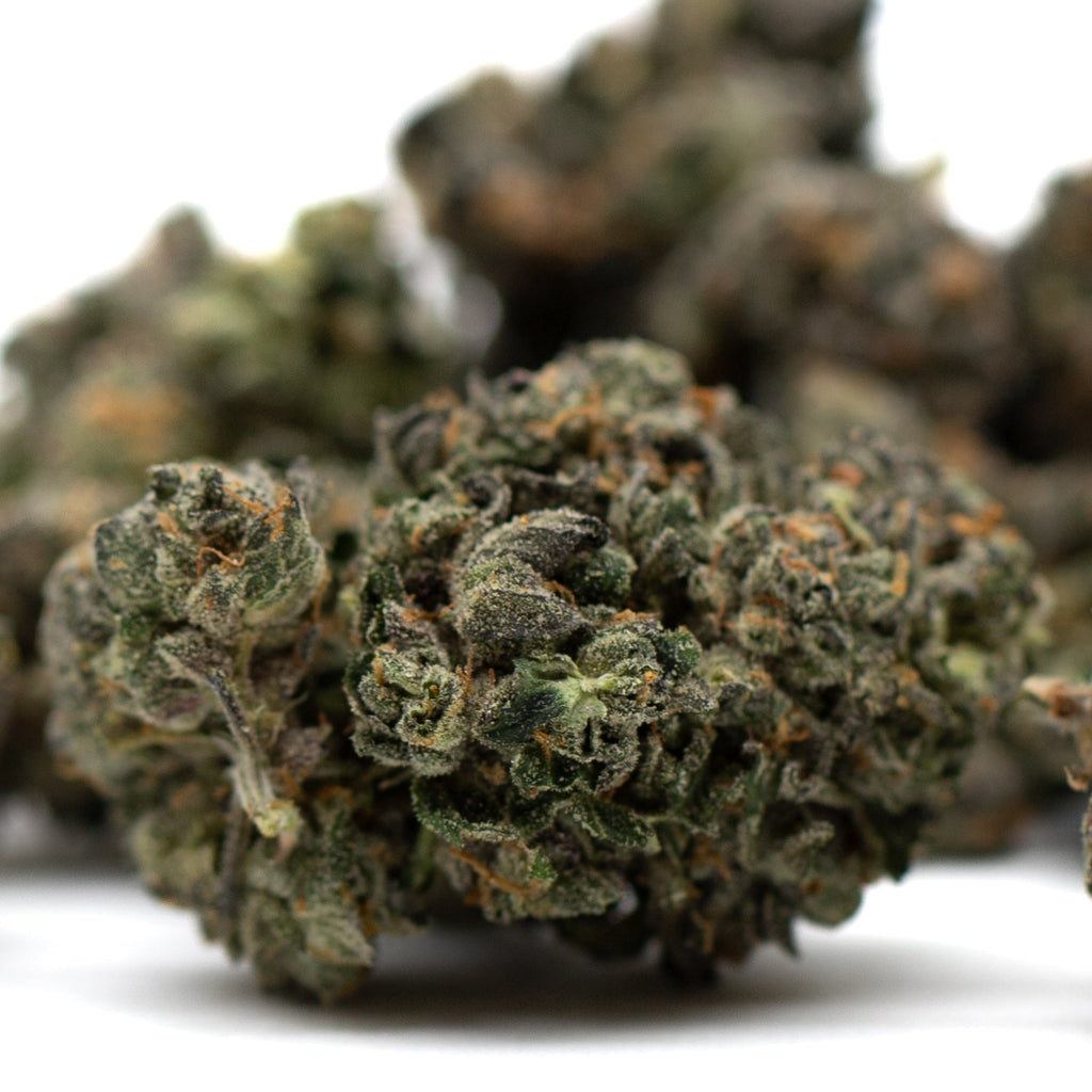 Dense cannabis buds of Motorbreath Indoor THCa Flower showcasing premium quality