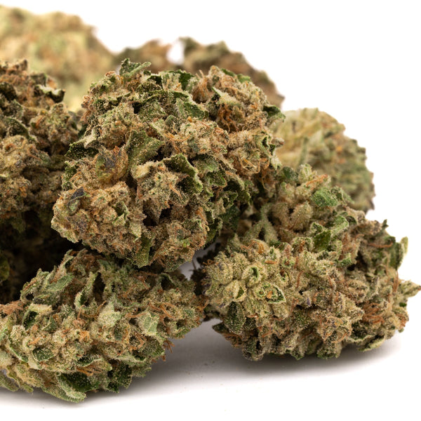 Nascar THCa Hemp Flower Greenhouse - Plants