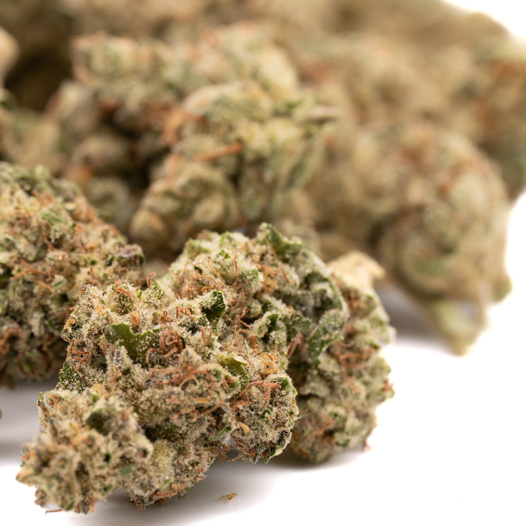 Greenhouse-grown hemp flower buds from Nascar THCa Hemp Flower Greenhouse Wholesale