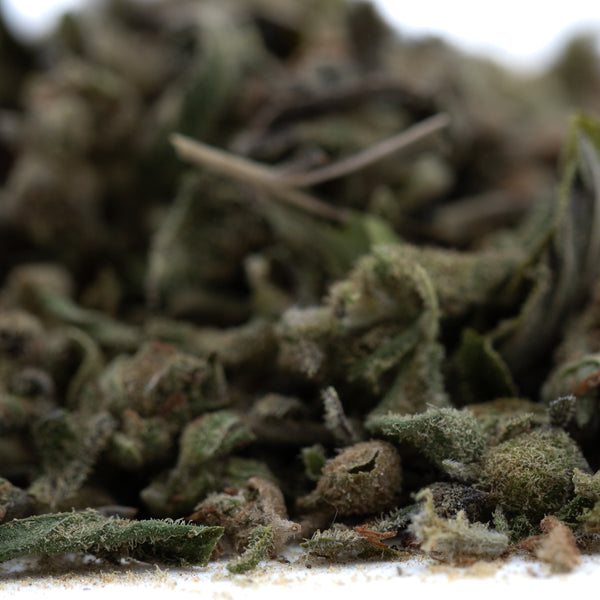 Fog Dog Full-Term THCa Trim Wholesale