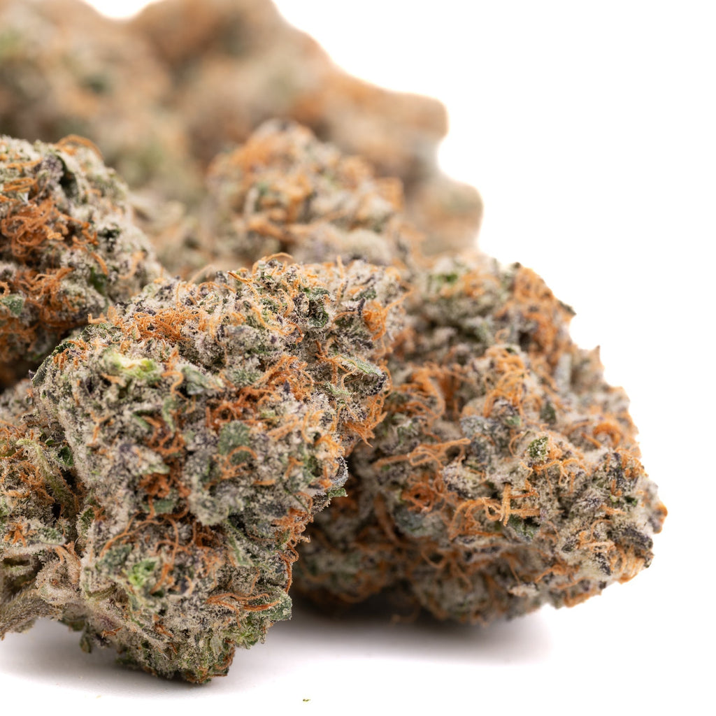 Pink Panties Indoor THCa Flower Wholesale - 1/2 LB - Plants