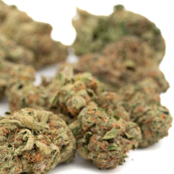 Point Break THCa Hemp Flower Greenhouse - Plants