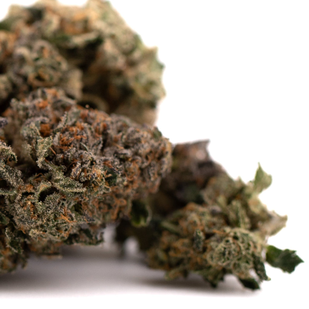 Dried cannabis buds from Purple Lemon Cake Indoor THCa Flower Wholesale with purple lemon aroma