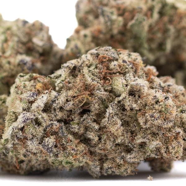 Purple Pop Rocks THCa Hemp Flower with green and brown hues covered in trichomes